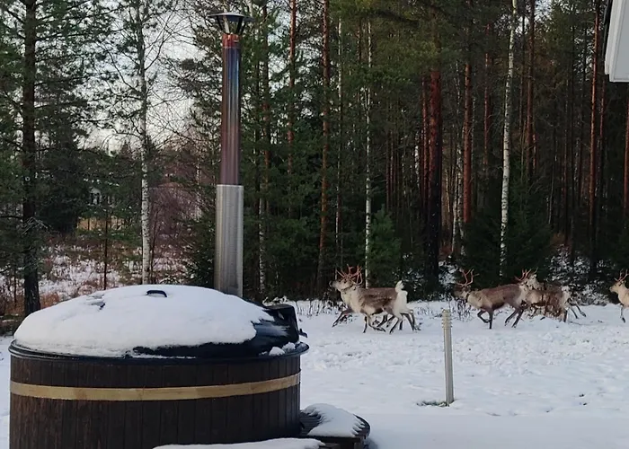 בית נופש Aurora's House *